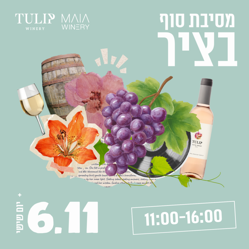 מסיבת סוף בציר 6/11